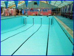 swimming pool lining options